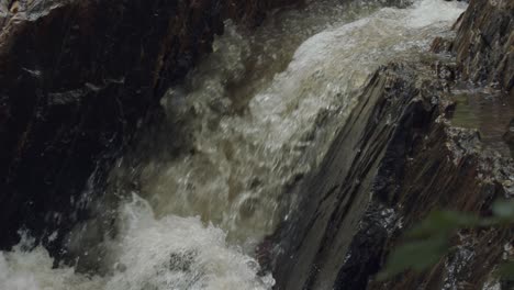 heavy runoff water in the after rain during a drought in the amazon rainforest