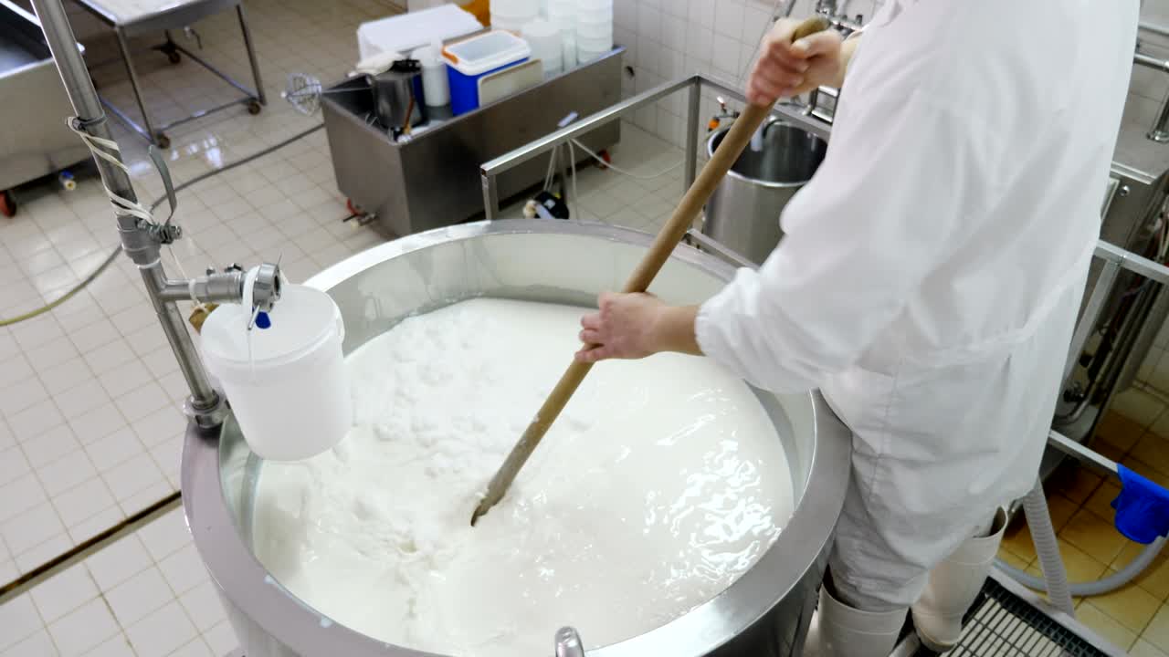 fábrica de queso. producción de queso nuevo