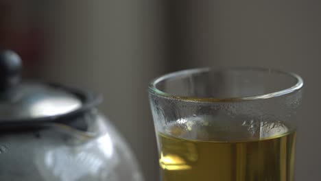 close up of glass of cerasee tea kerala bitter melon plant with kerala hanging from vines used to make herbal healthy tea good for weight loss