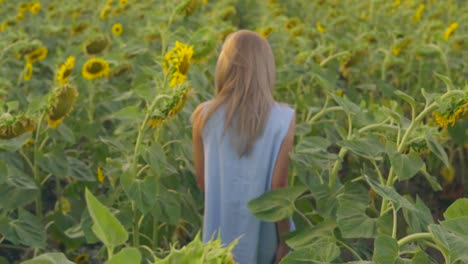 Young-attractive-blond-woman-walking-in-a-field-of-sunflowers,-turning-around-and-looking-in-the-camera.-Slow-Motion-shot