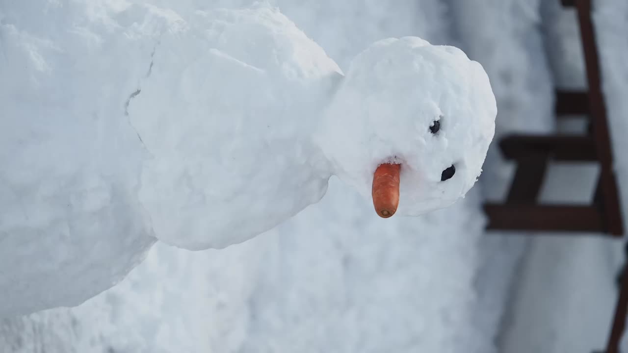 Snowman with Carrot Nose