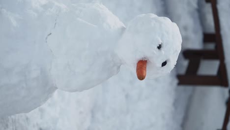 snowman with carrot nose