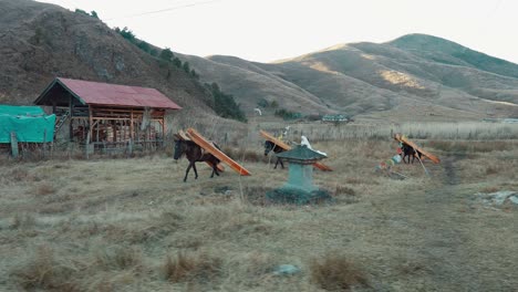 beautiful scene of tree horses carry on wooden beams on the farm and mountains at the back