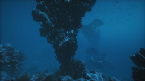 Exploring the serene underwater world teeming with marine life