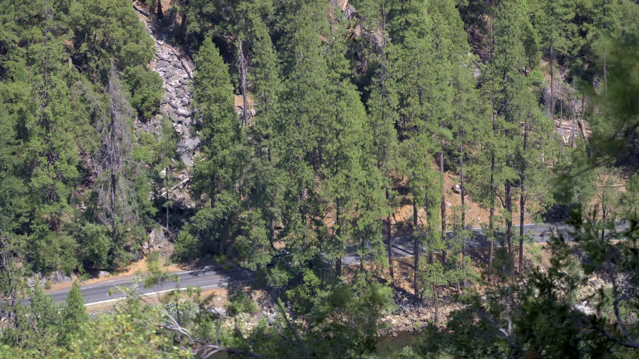 Elevated Perspective of Traffic on Yosemite Valley Floor