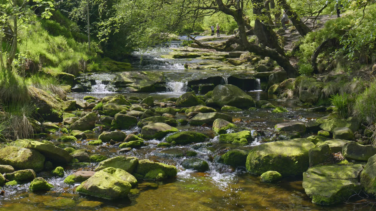 Wonderful Wyming Brook Nature Reserve, near Sheffield Yorkshire, UK