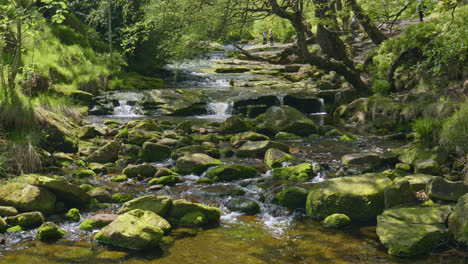 wonderful wyming brook nature reserve, near sheffield yorkshire, uk