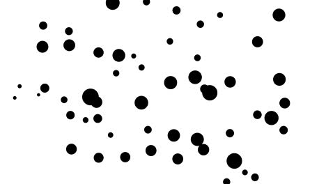 animation. abstract black and white background. black small circles move fast on a white background