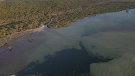 agua prístina de flying fox creek y denso desierto de amity point en queensland, north stradbroke island, australia