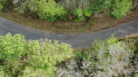 curved road in rural landscape