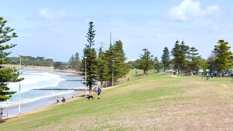 people stroll along a grassy park by the ocean in torquay, australia. the scene captures a sunny, relaxed coastal atmosphere