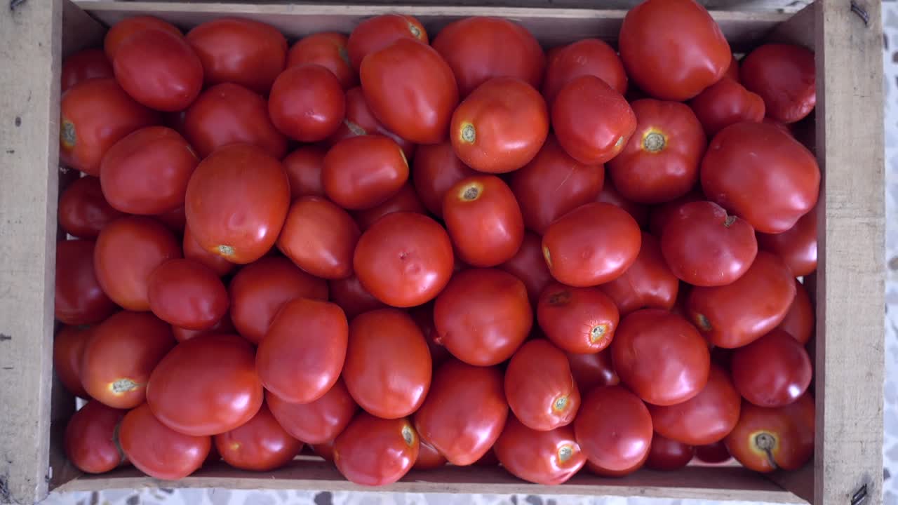zoom en el disparo de un cubo de madera lleno de tomates recién recogidos