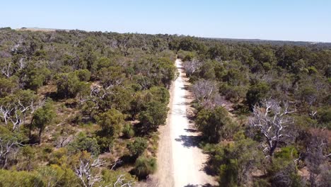 Aerial-Flyover-Bushland-Of-Yaberoo-Budjara-Heritage-Trail,-Perth