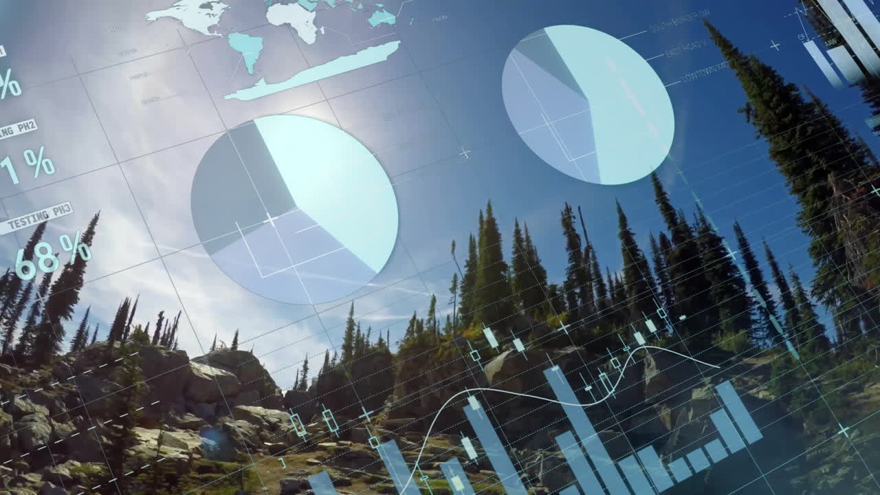 Animation of financial data processing over forest