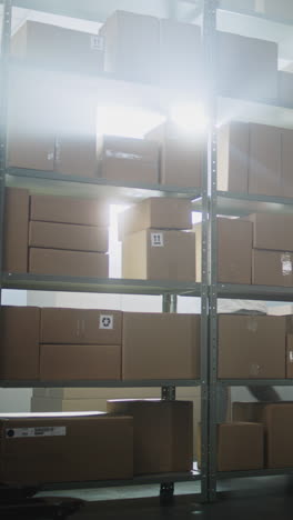 warehouse worker handling boxes