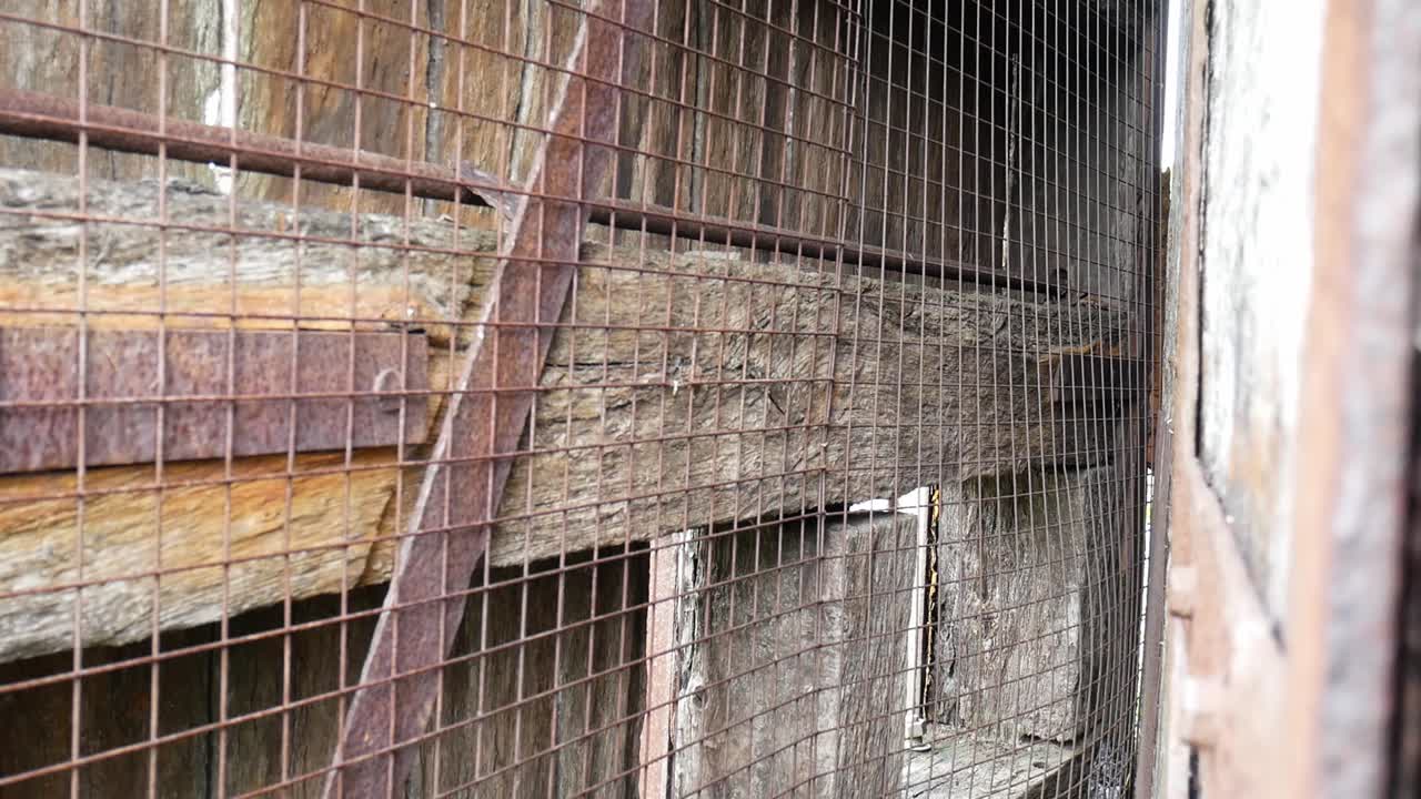 sucio vintage dañado textura de madera madera y acero oxidado metalistería lento carro derecho