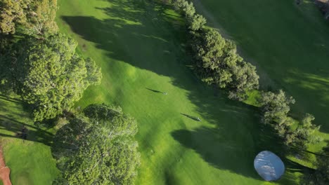 aerial top down shot showing people playing golf on green grass field during sunny day - western australia, royal perth golf club