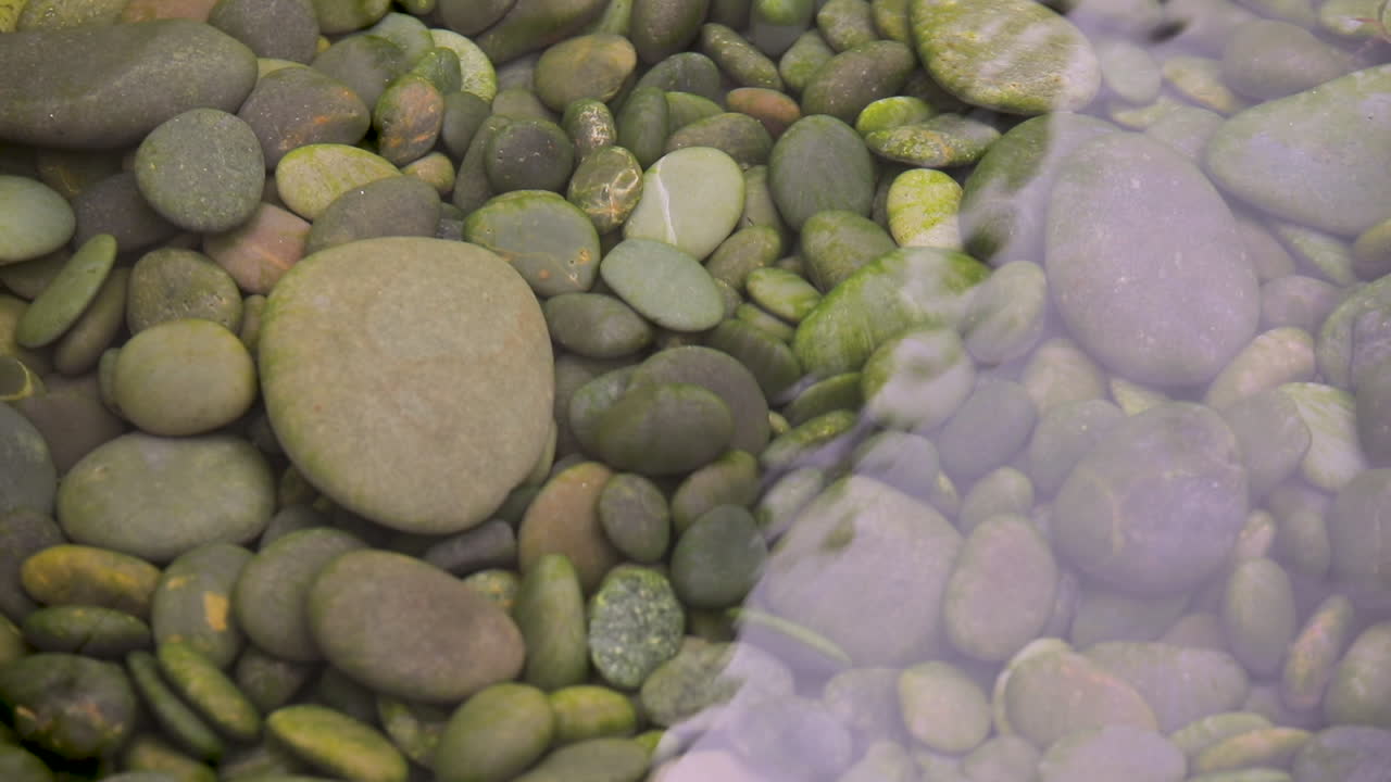 rock pond - barnes foundation - 필라델피아, pa