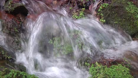 primer plano de agua que fluye rápidamente en un pequeño arroyo del bosque