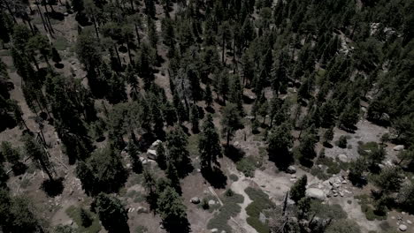 Drone-Volando-Sobre-El-Paisaje-Montañoso-Del-Gran-Oso