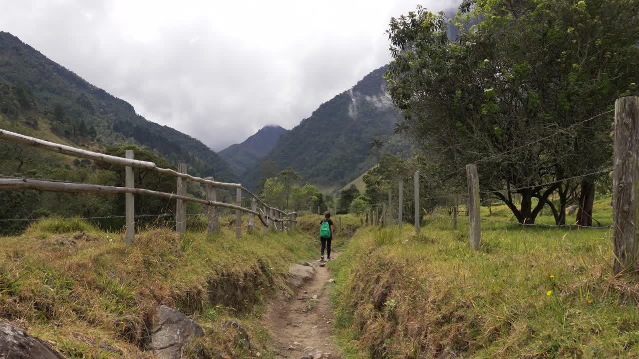 Solo hiker walks a dirt trail in Cocora Valley, misty Andes in background, static wide shot
