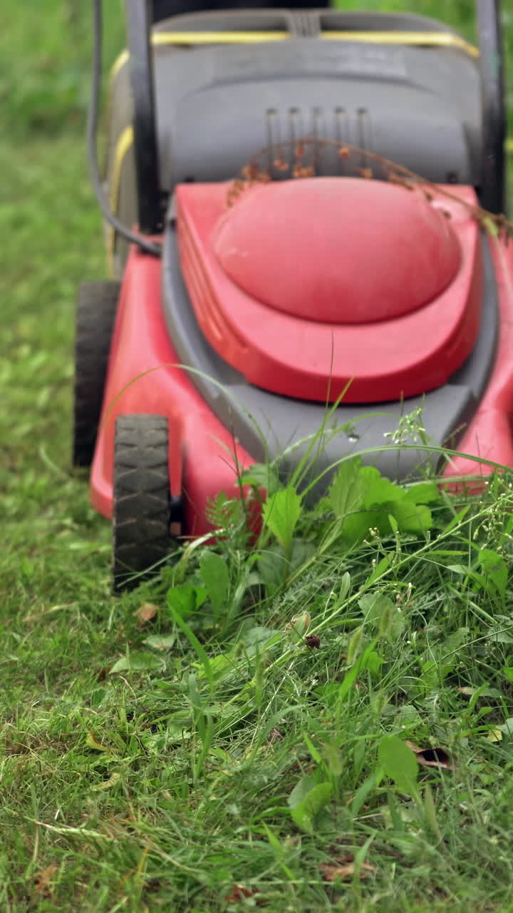 Electric lawn mower cutting grass. Gardener mowing green plants with special corded machine. Modern equipment for cutting grass in the yard. Vertical video
