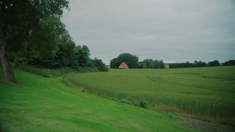 green landscape with distant house, peaceful countryside on langeland, denmark