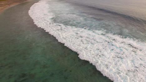 tropical shoreline aerial shot