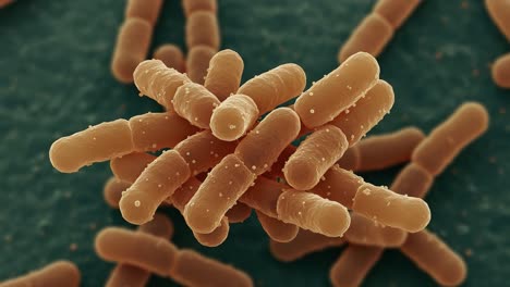 magnified view of bacterial colonies: detailed imagery of microbial structures exhibiting unique forms and patterns in a scientific study of microbiology