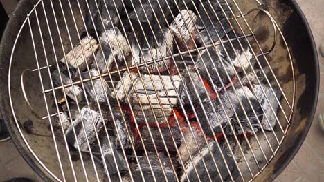 parrilla de carbón con carbón de leña