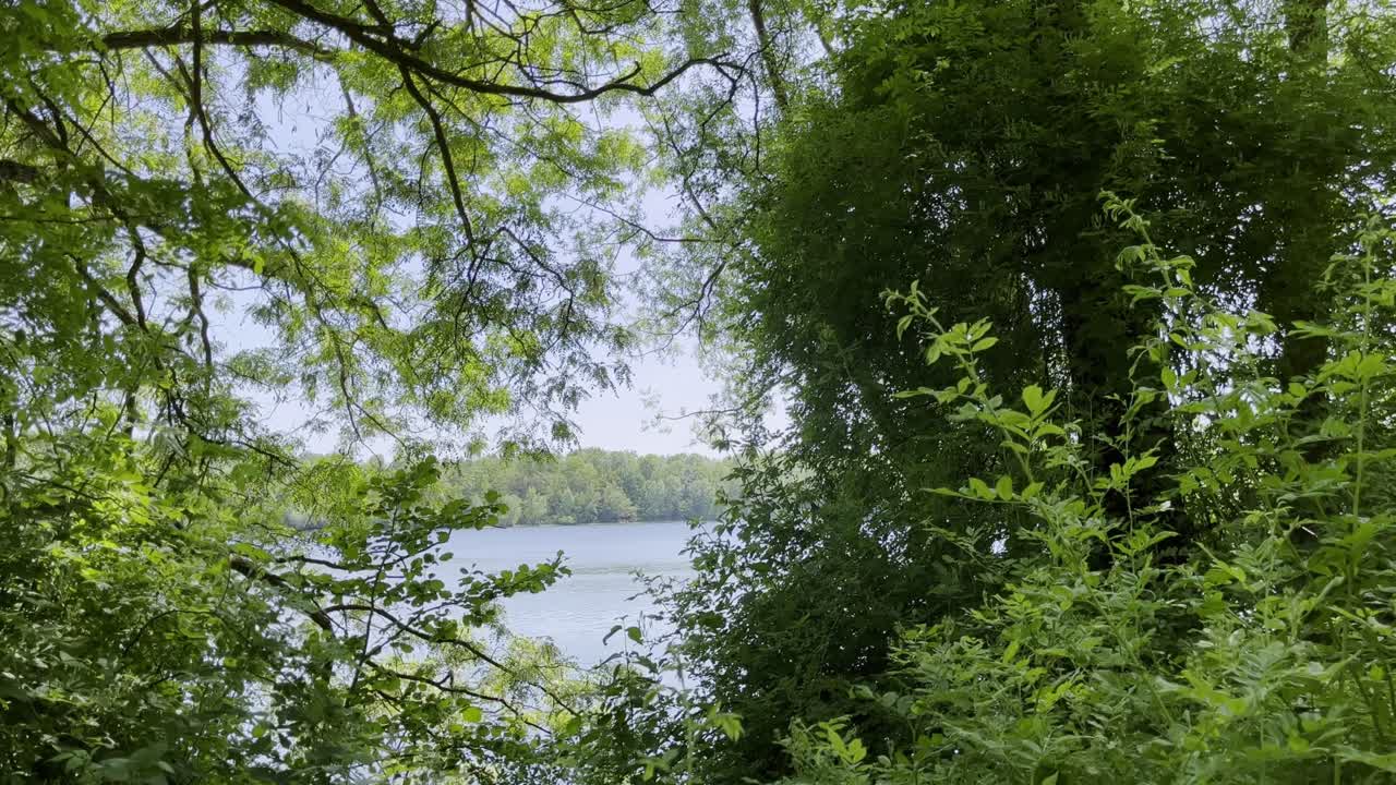 lake between nature trees and bushes in good weather near cologne h&ouml;henfelder lake bagerloch ind germany