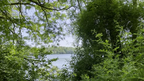 jezioro między drzewami i krzewami przy dobrej pogodzie w pobliżu kolonii höhenfelder jezioro bagerloch ind niemcy