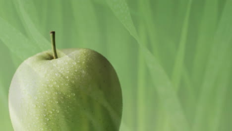 composition of green apple and grass on green background