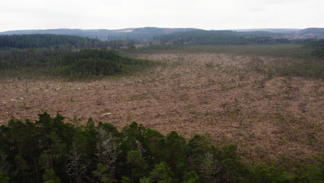 Aerial-View-of-Expansive-Wetland-in-Scandinavia,-Nordic-Carbon-Sink,-Wide-shot