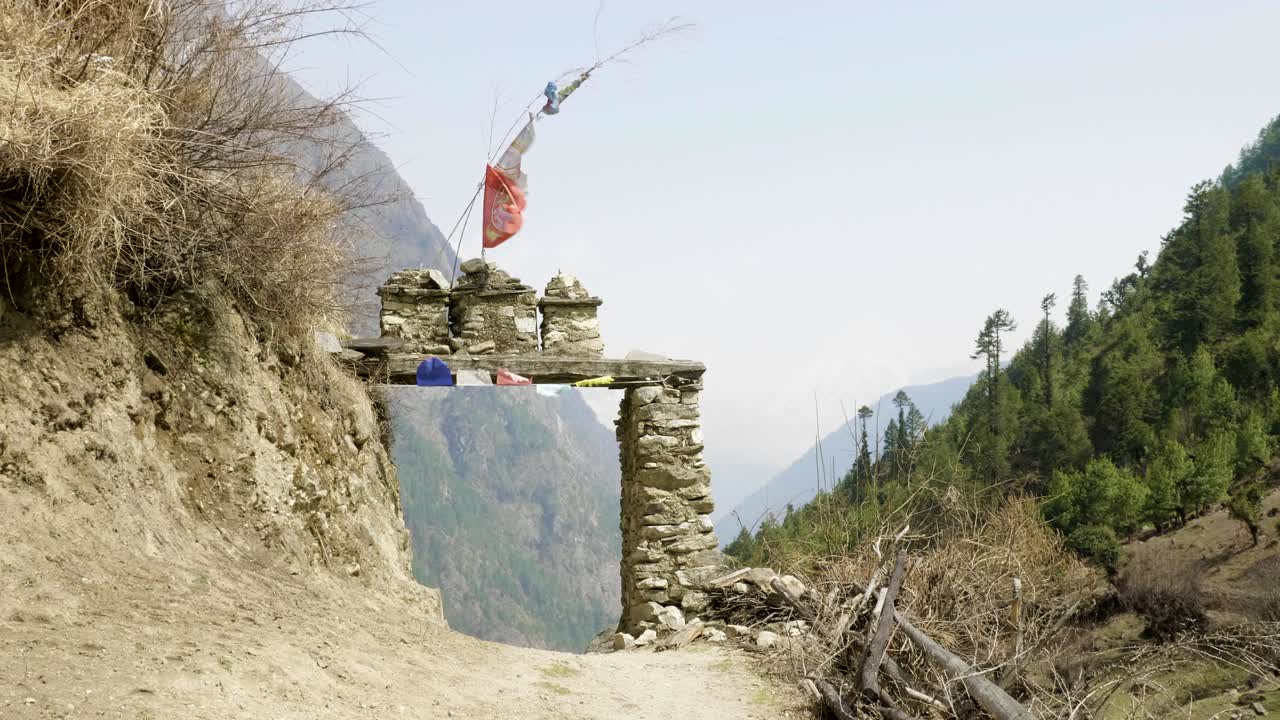 Bue til nepalesisk landsby Lho. Manaslu-trekket