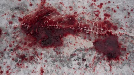 top down tracking view of blood splattered on icy road after traffic accident