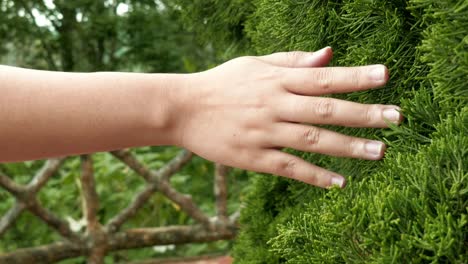 Primer-Plano-De-Acariciar-Sus-Dedos-A-Lo-Largo-De-Una-Hoja-Verde-Tropical-Fresca