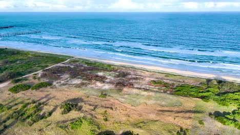 scenic coastal landscape with ocean and greenery