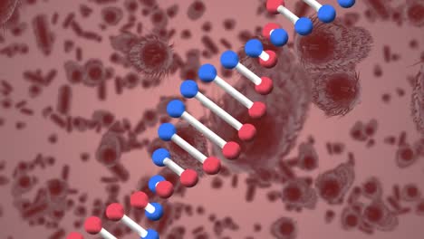 Animation-of-dna-strand-spinning-and-macro-covid-19-cells