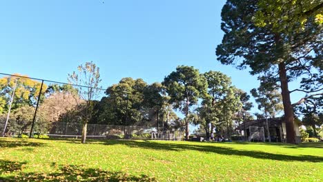 tennis court surrounded by trees in melbourne park