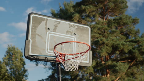 Basketballkorb-Auf-Dem-Hintergrund-Des-Waldes---Sport-Und-Aktiver-Lebensstil
