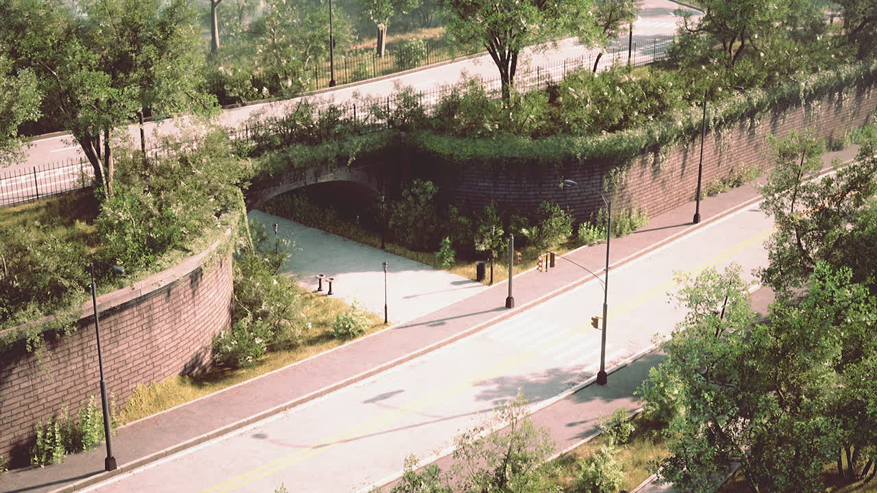carretera de parque con paso de peatones