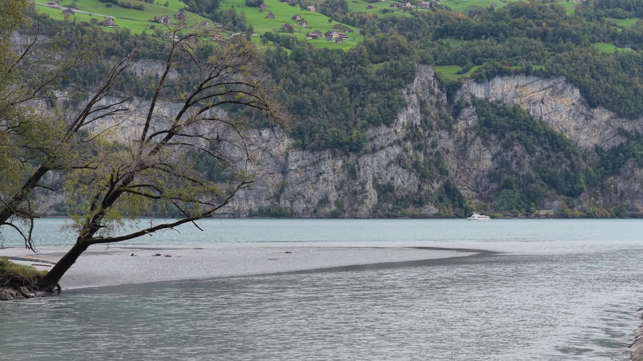 Silty river water meets the turquoise Walensee at a sandy delta, overlooked by leaning trees and a sheer, forested cliff face in Schweiz. Concept: Ecological transition at the delta's edge
