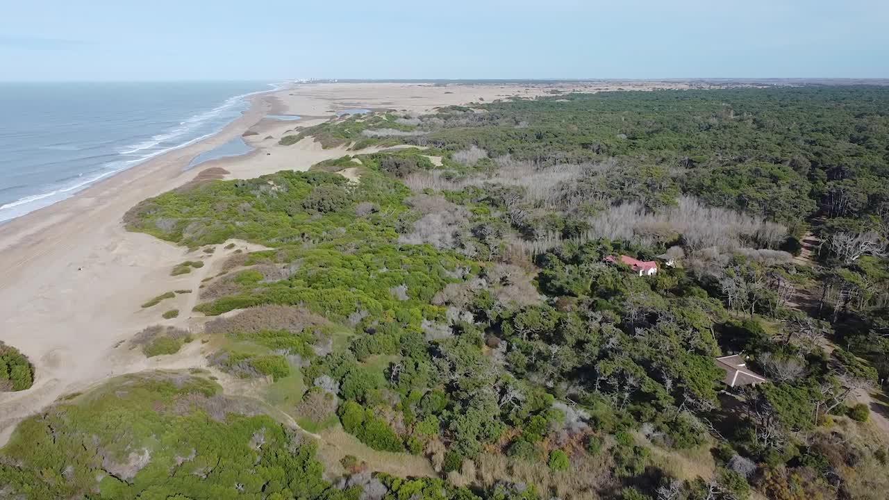 vista panorámica de la reserva de cariló, un bosque verde junto al océano atlántico, argentina