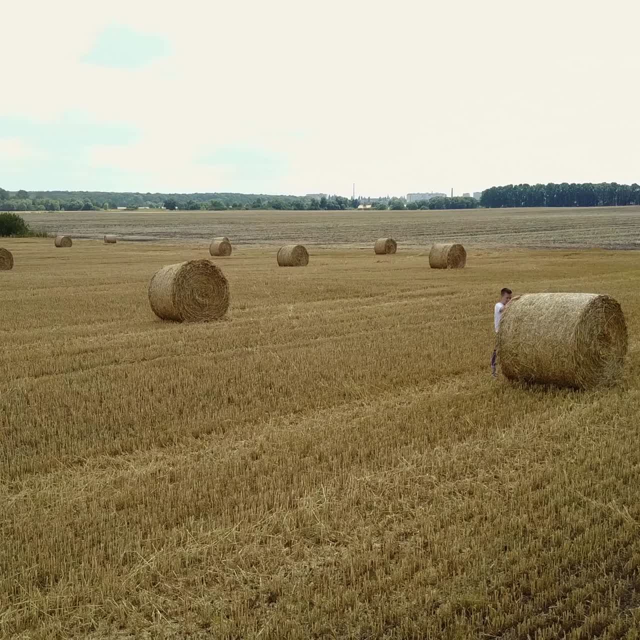 niño pequeño en el campo