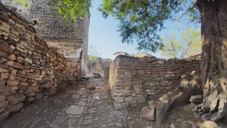 Wide-shot-of-Old-Historical-buildings-structure-called-havelis-in-a-rural-village-of-Gwalior-Madhya-Pradesh-India