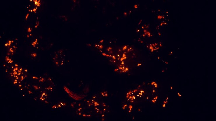 laine d'acier macro brûlant au ralenti