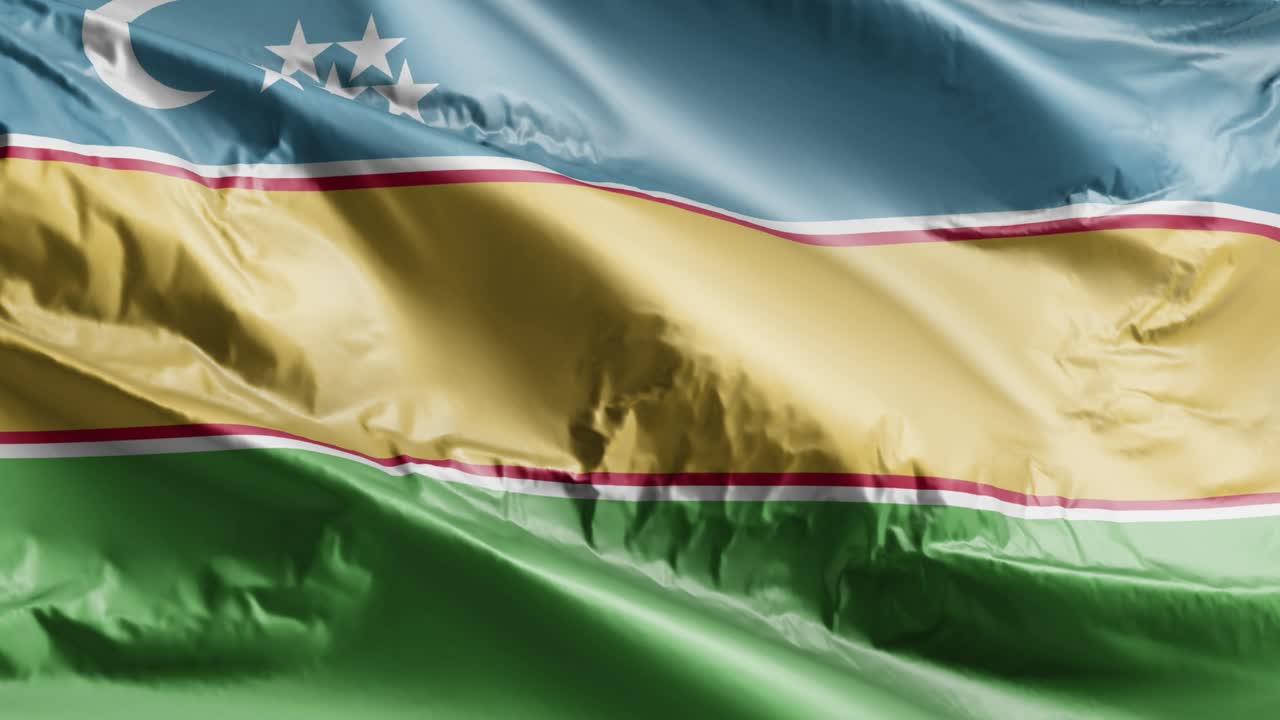 카라칼파크스탄의 발이 바람에 흔들리고, 카라콜파크스탄 발은 바람에 휘어지고, 배경은 완전히 가득 차 있고, 10초의 루프가 있습니다.