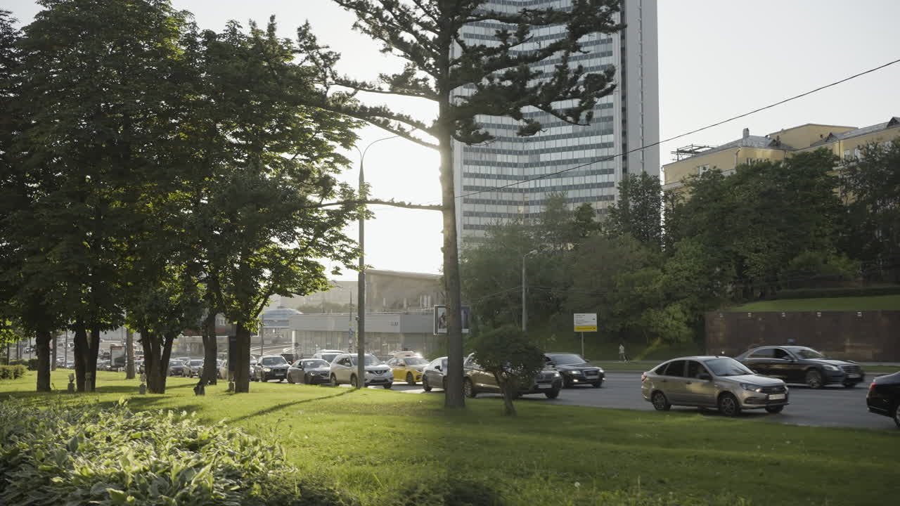 Cena de Rua da Cidade com Árvores e Trânsito