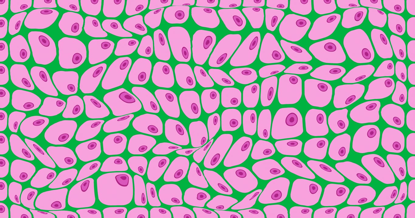 Animation of pink cells moving on transparent background